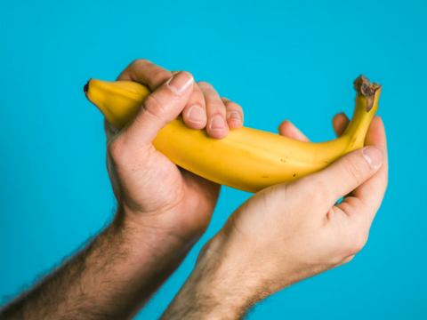 penis