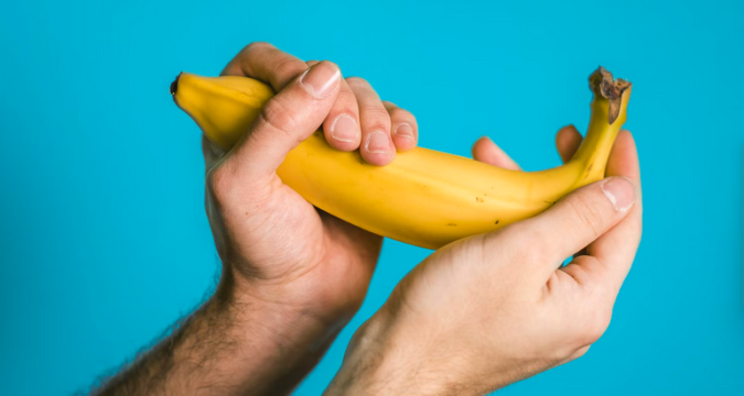 penis